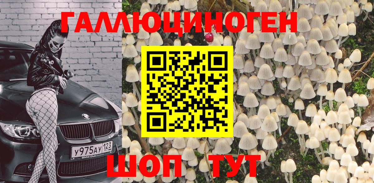 Псилоцибиновые грибы мухоморы  где продают   Вход с VPN  Элиста  Галлюциногенные грибы мицелий 