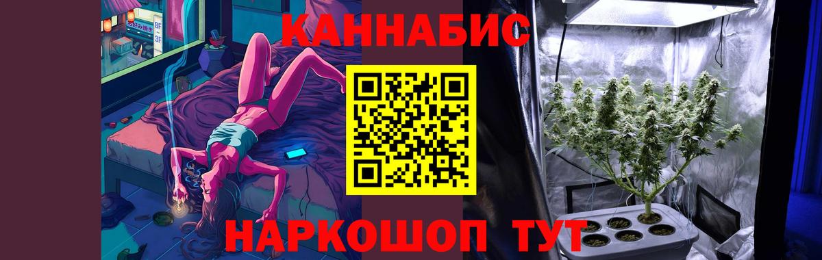 Бошки Шишки OG Kush Элиста